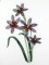 BFC1111 Wildflowers Etc.
