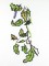 BFC1117 Sally King's Green Man Series- The Lady Complete