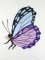 BFC1120 Variegated Fun Butterflies