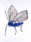 BFC1120 Variegated Fun Butterflies