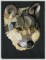 BFC1122 Three Wolves