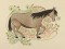 BFC1126 Filled Horses - 01