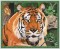 BFC1131 Large Amur Tiger-The Patriarch