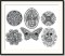 BFC1134 Lace Blackwork Designs