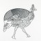 BFC1140 D.E.S-Blackwork Guinea Hens