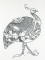BFC1140 D.E.S-Blackwork Guinea Hens