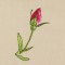 BFC1148 Wild Roses Handbag