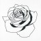 BFC1149 Blackwork Roses