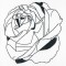 BFC1149 Blackwork Roses