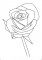 BFC1149 Blackwork Roses