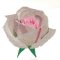 BFC31762 Four Roses no.4