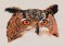 BFC1151 Large Eagle Owl