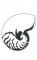 BFC1153 Blackwork Seashells
