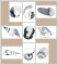 BFC1153 Blackwork Seashells
