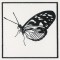 BFC1155 QIH Blackwork Birds and Butterflies Quilt Blocks
