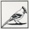 BFC1155 QIH Blackwork Birds and Butterflies Quilt Blocks
