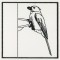 BFC1155 QIH Blackwork Birds and Butterflies Quilt Blocks