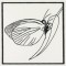 BFC1155 QIH Blackwork Birds and Butterflies Quilt Blocks