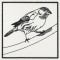 BFC1155 QIH Blackwork Birds and Butterflies Quilt Blocks
