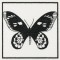 BFC1155 QIH Blackwork Birds and Butterflies Quilt Blocks
