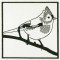 BFC1155 QIH Blackwork Birds and Butterflies Quilt Blocks