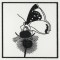 BFC1155 QIH Blackwork Birds and Butterflies Quilt Blocks
