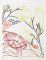 BFC1156 Color Sketches by the Shore - 1-07