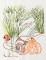 BFC1156 Color Sketches By the Shore - Part 1