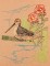 BFC1157 Color Sketches By the Shore Part II