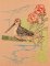 BFC1157 Color Sketches by the Shore - 2-03