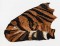BFC1158 Large Mother Tiger and Cub