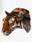 BFC1158 Large Mother Tiger and Cub