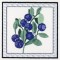 BFC1161 QIH-Fruit and Flower Quilt Blocks
