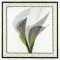 BFC1161 QIH-Fruit and Flower Quilt Blocks