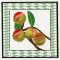 BFC1161 QIH-Fruit and Flower Quilt Blocks