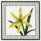 BFC1161 QIH-Fruit and Flower Quilt Blocks