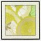 BFC1161 QIH-Fruit and Flower Quilt Blocks