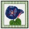 BFC1161 QIH-Fruit and Flower Quilt Blocks
