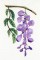 BFC1164 Wisteria Handbag