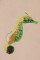 BFC1166 Seahorse Fantasy