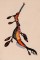 BFC1166 Seahorse Fantasy