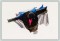 BFC1169 Large Formosan Magpie
