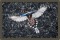 BFC1169 Large Formosan Magpie