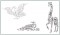 BFC1172 Fun with Calligraphy - Critters