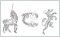 BFC1172 Fun with Calligraphy - Critters