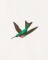 BFC1182 Large Haeckels Hummingbird Fantasy