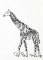 BFC1185 Decorative Element Series-Blkwork Giraffes