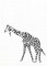 BFC1185 Decorative Element Series-Blkwork Giraffes