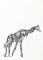 BFC1185 Decorative Element Series-Blkwork Giraffes