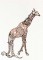 BFC1186 Decorative Element Series-Filled Giraffes